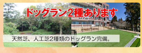 施設情報