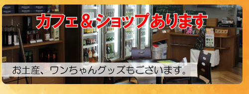 施設情報