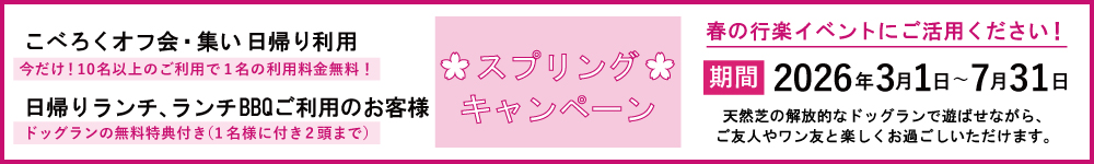 スプリングキャンペーン