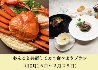 ワンコと共旅してカニ食べるプラン
