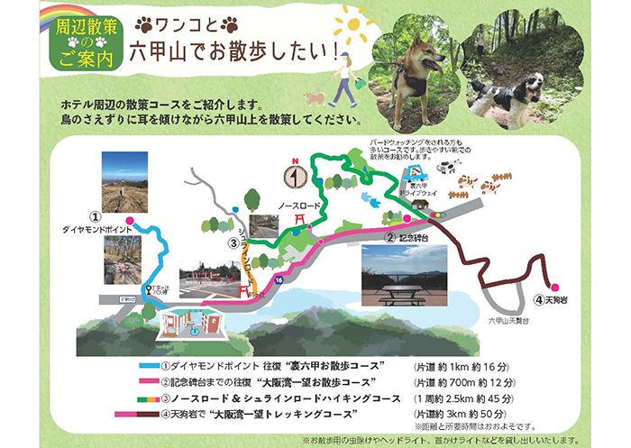 ワンコとお散歩コース